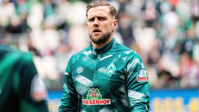 顽强崛起 顽强崛起