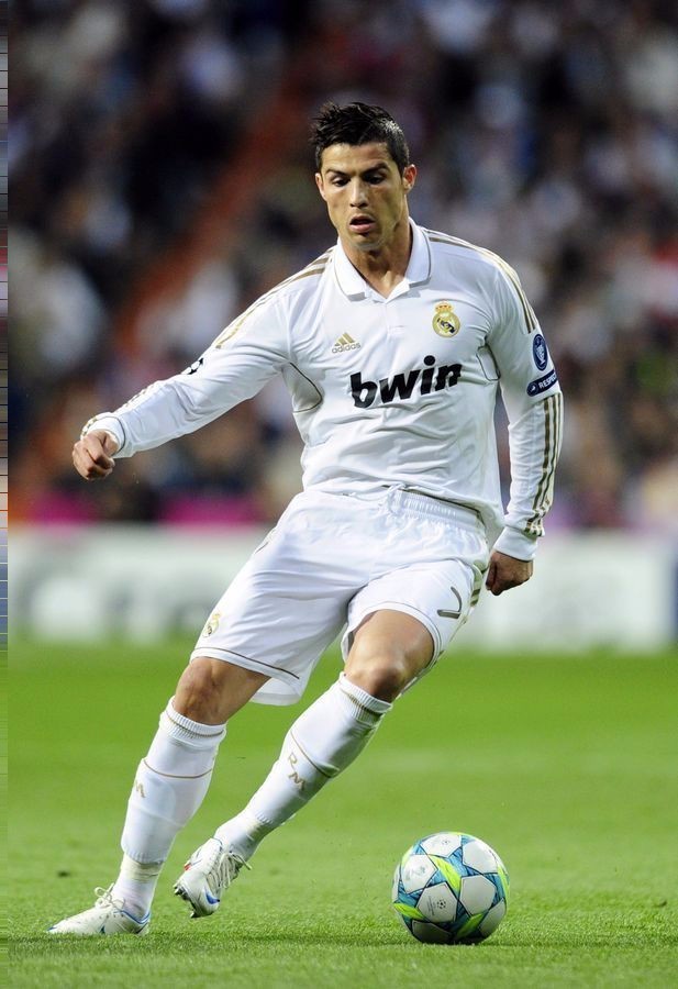 释了什么是 释了什么是