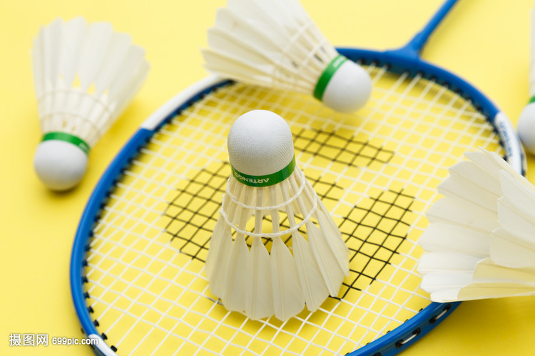 轮徘徊的球 轮徘徊的球