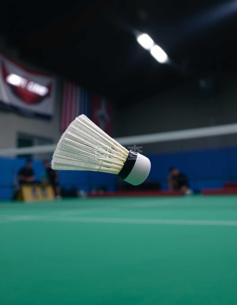 术思路的优 术思路的优